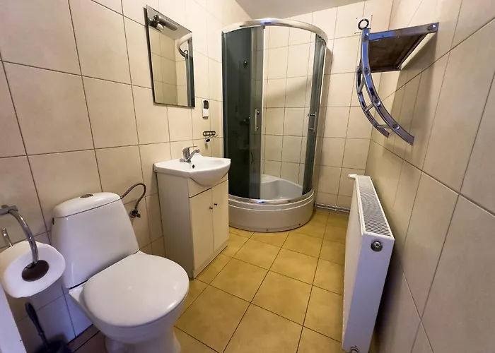 Goscinne U Haliny Guest house *